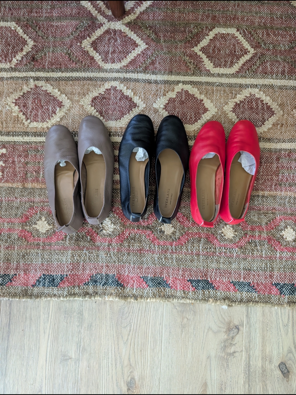 Everlane Dayglove Lot